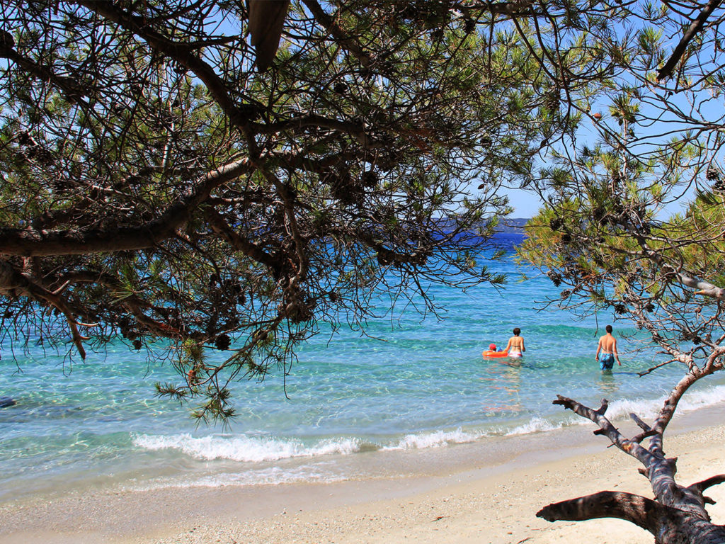 Discover The 12 Beaches Of Lavandou Hotel La Petite Bohème